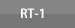 RT-1